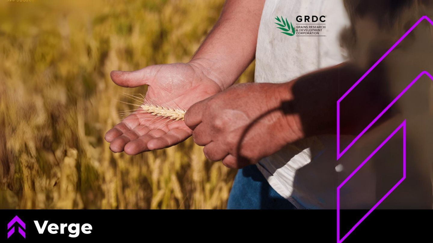 Verge Partners With GRDC In New Project Revolutionising On-Farm Operations For Australian Grain Growers